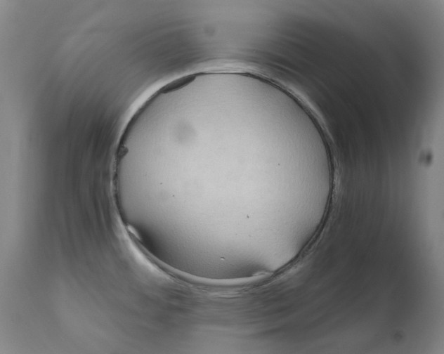 X0000110951484200907311029