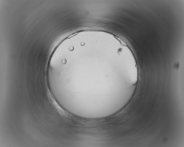 X0000110951485200907311029