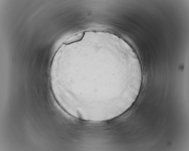X0000110951487200907311029