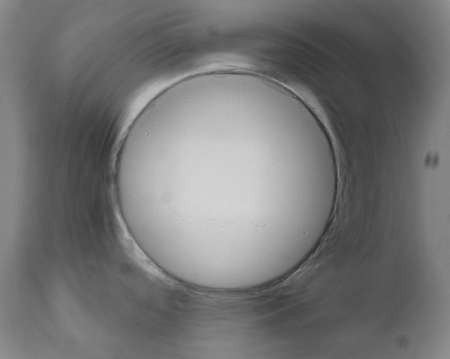 X0000110951488200907311029