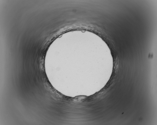 X0000110951490200907311028
