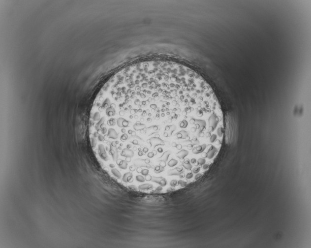 X0000110951491200907311028