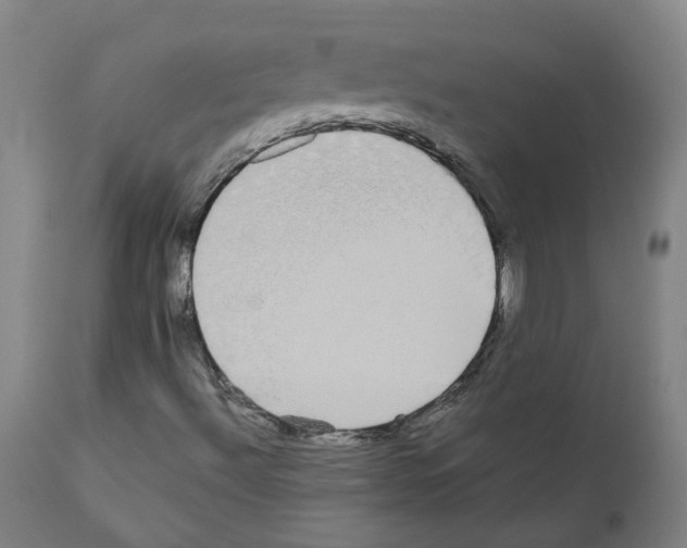 X0000110951492200907311028