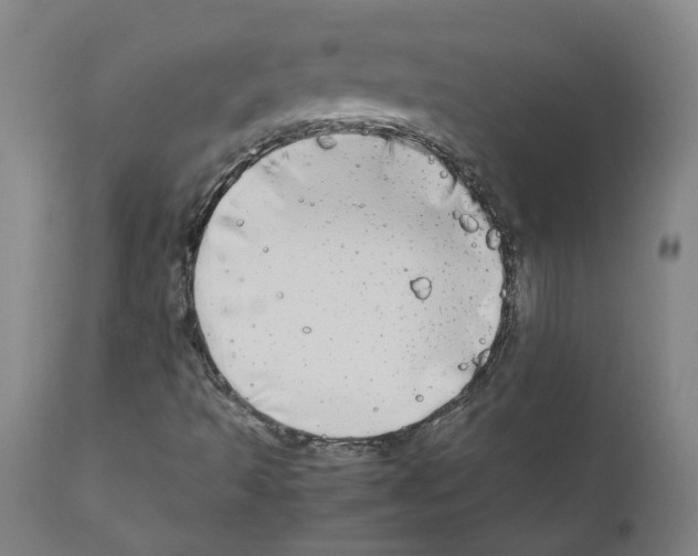X0000110951493200907311028
