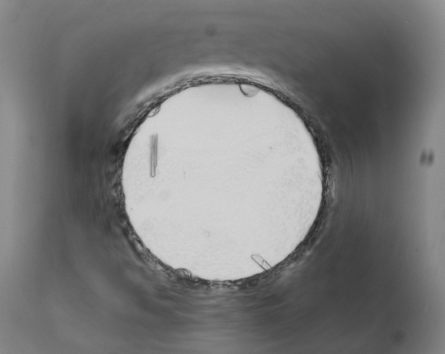 X0000110951494200907311028