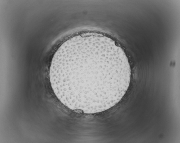X0000110951495200907311028