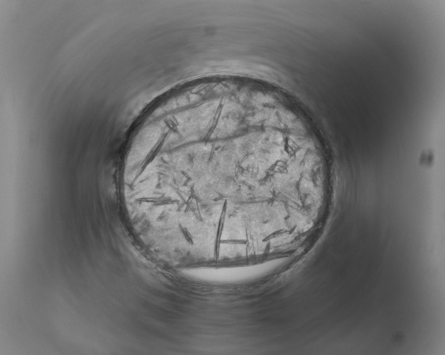 X0000110951497200907311028