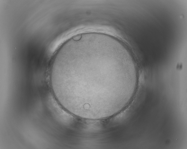 X0000110951498200907311028