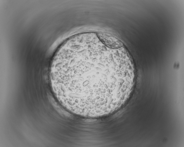 X0000110951499200907311028