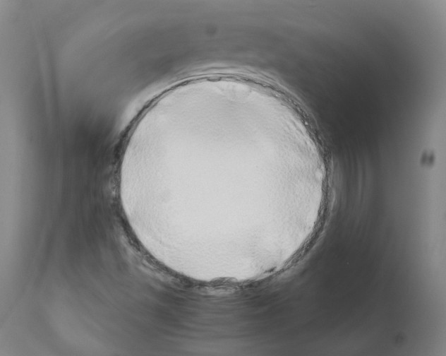 X0000110951501200907311028