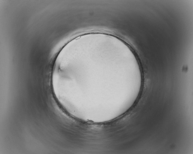 X0000110951504200907311028