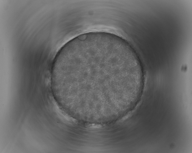 X0000110951505200907311028
