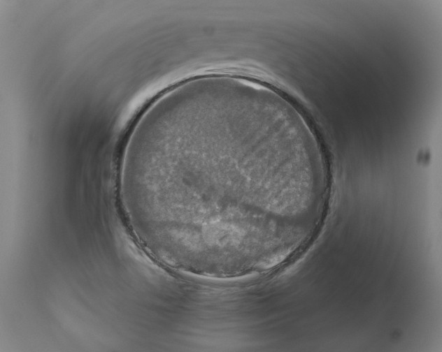 X0000110951506200907311028