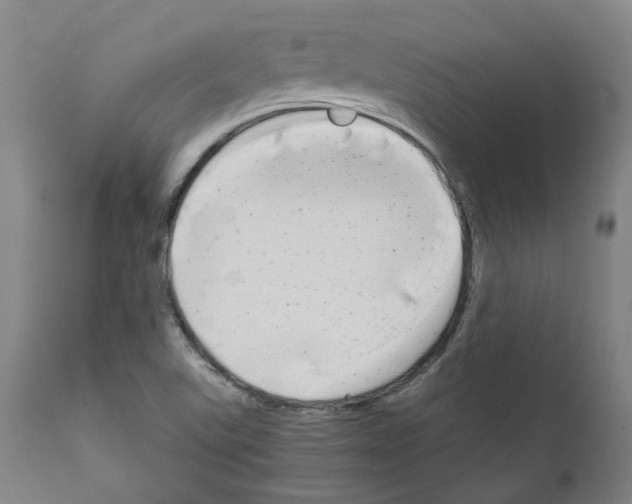 X0000110951507200907311028