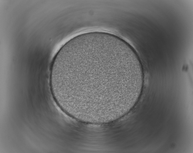 X0000110951508200907311028