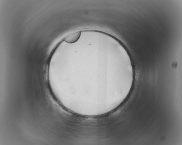 X0000110951510200907311028