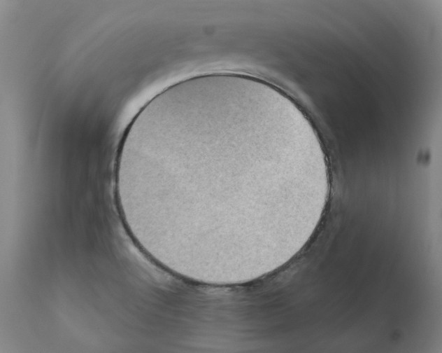 X0000110951512200907311028