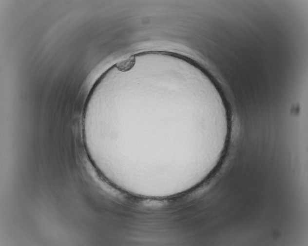 X0000110951513200907311028