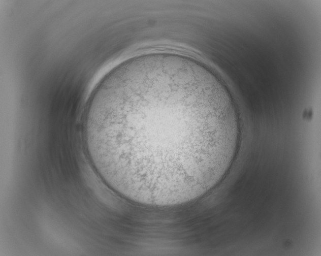 X0000110951514200907311028
