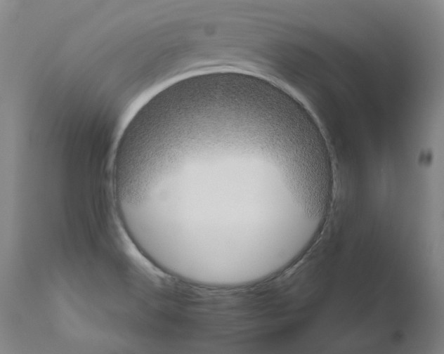X0000110951516200907311028