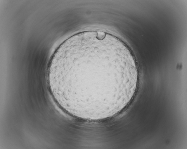 X0000110951517200907311029