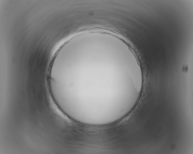 X0000110951518200907311029