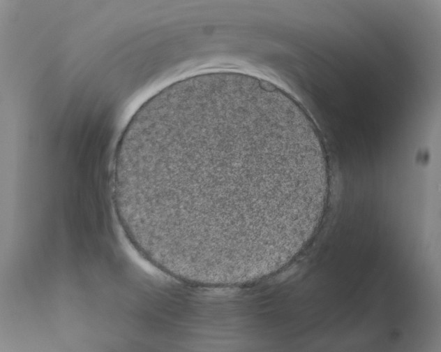 X0000110951519200907311029