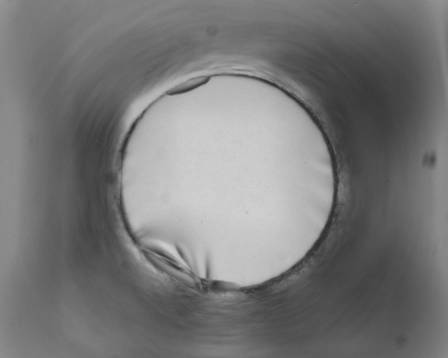 X0000110951520200907311029