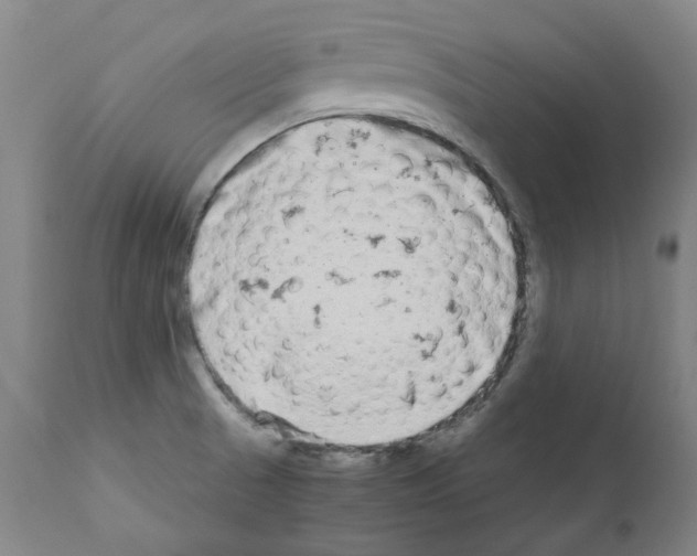 X0000110951521200907311029