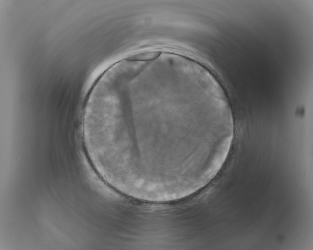X0000110951522200907311029