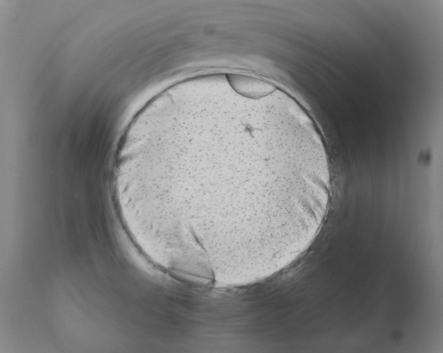 X0000110951523200907311029