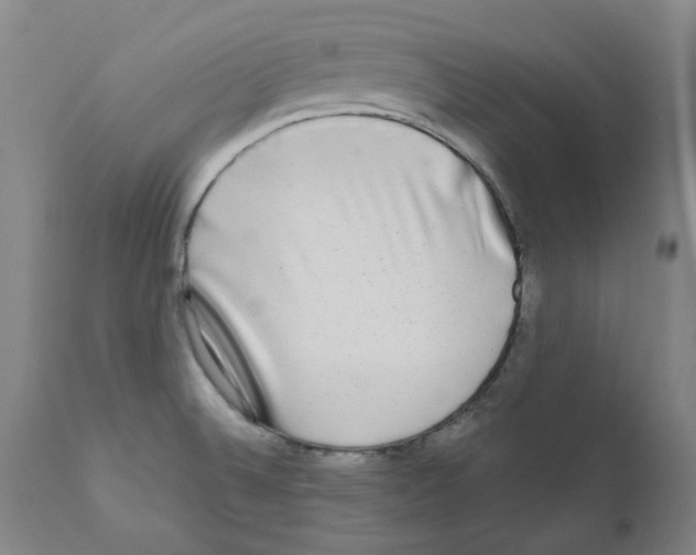 X0000110951524200907311029