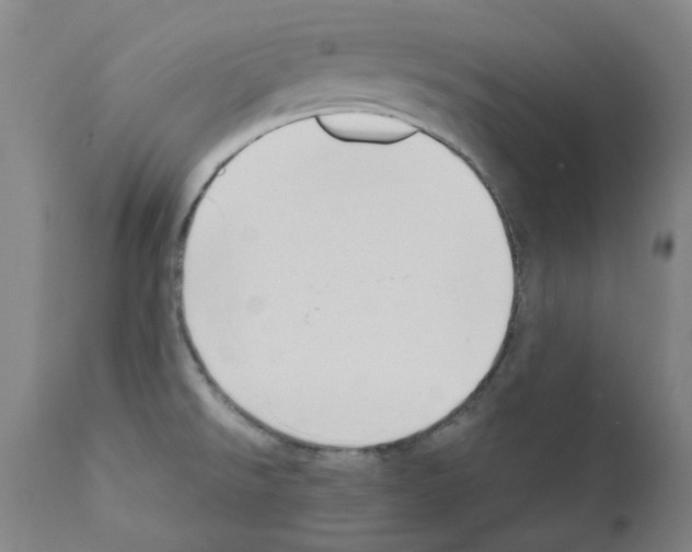 X0000110951526200907311029