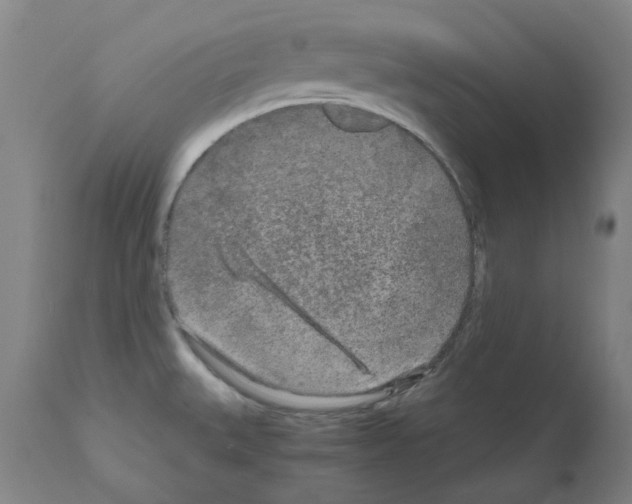 X0000110951527200907311029