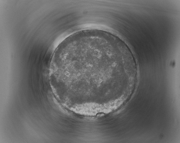 X0000110951529200907311029