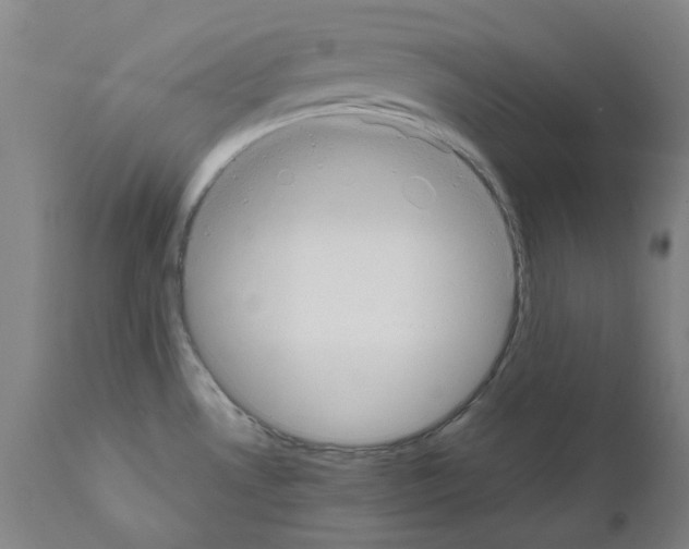 X0000110951530200907311029