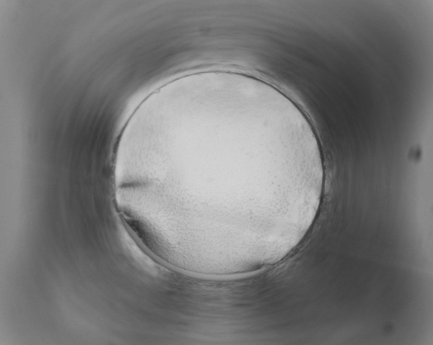 X0000110951532200907311029