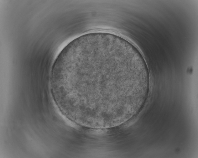 X0000110951533200907311029