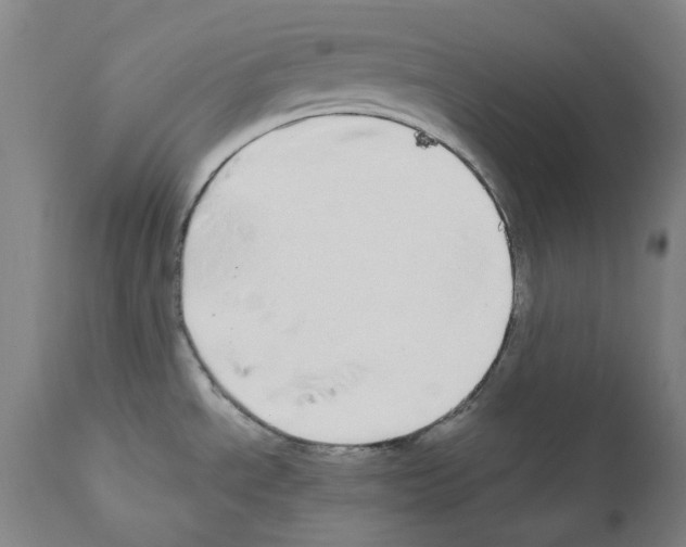 X0000110951534200907311029