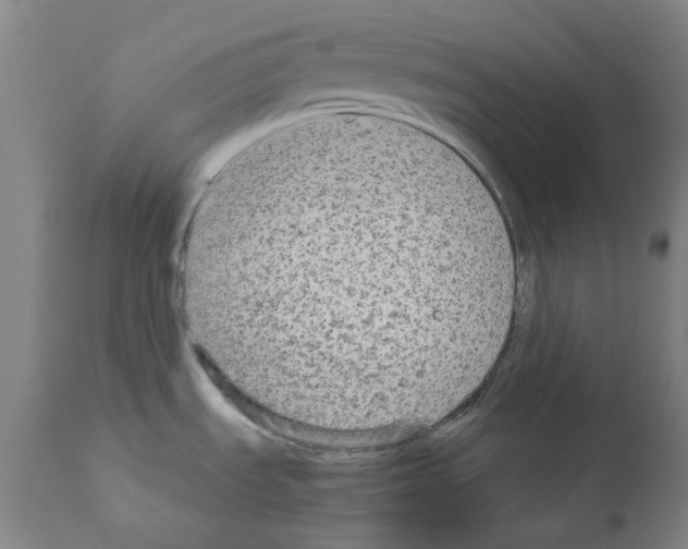 X0000110951535200907311029