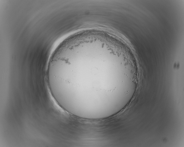 X0000110951536200907311029