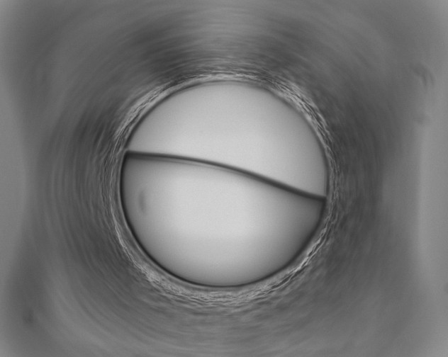 X0000110960001200906191059