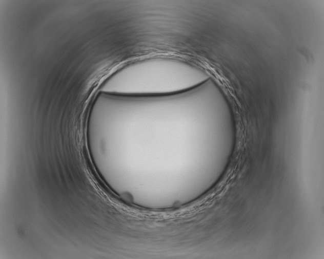 X0000110960002200906191059