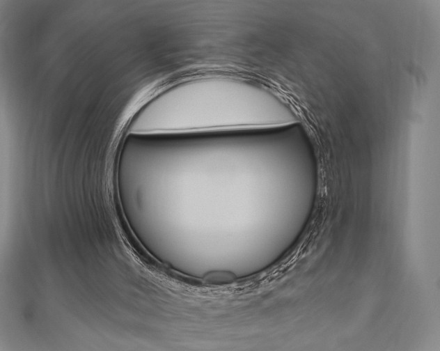 X0000110960004200906191059