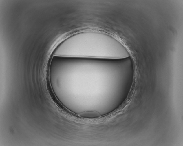 X0000110960007200906191059