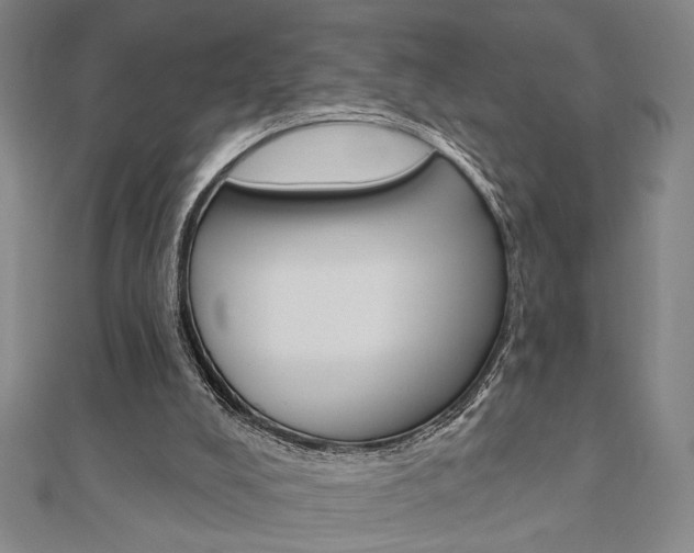 X0000110960008200906191059