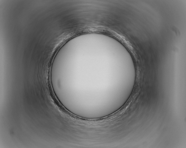 X0000110960010200906191059