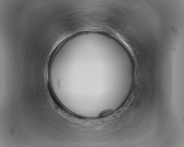 X0000110960011200906191059