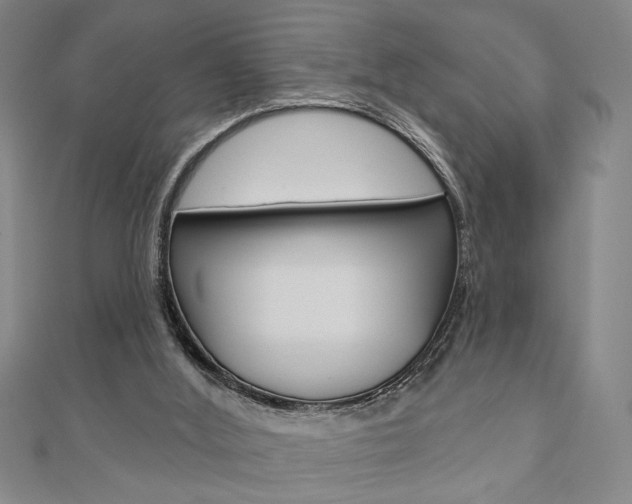 X0000110960012200906191059
