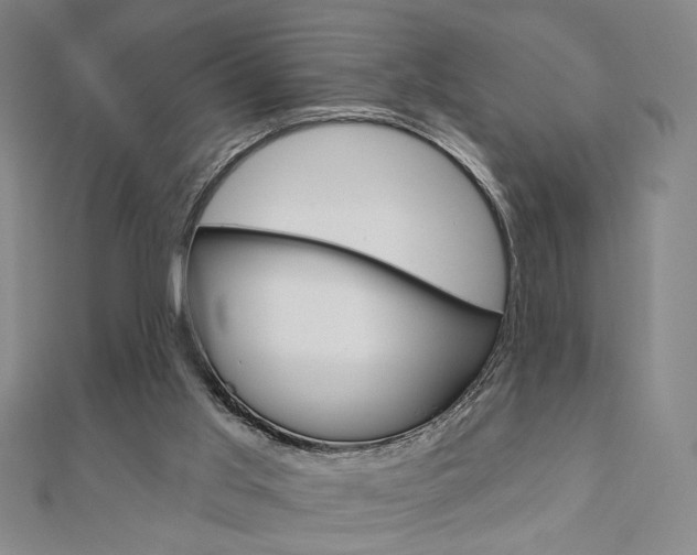 X0000110960013200906191059